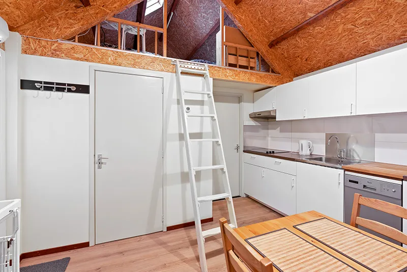 Attic entry - Different solutions for multi-level access
