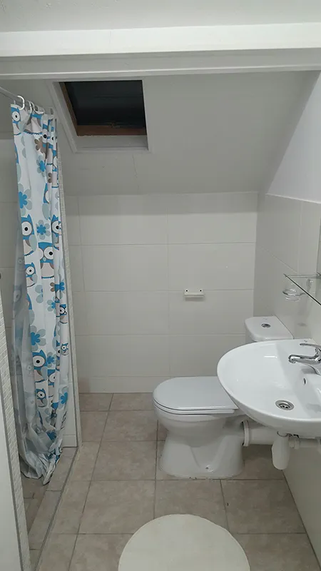 Combined bathroom - Shower, sink, and toilet in one room