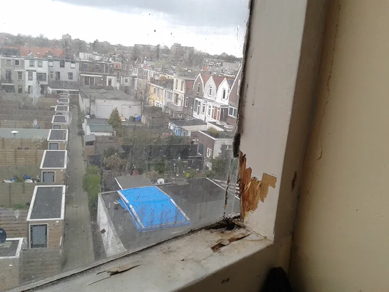 Window renovation - Fixing window frame issues